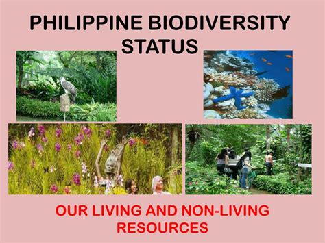 The conservation status of biological resources in the Philippines .